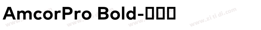 AmcorPro Bold字体转换